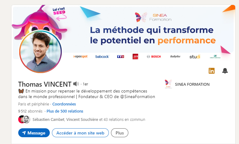 Profil Linkedin de Thomas de Sinea. avec mascotte par Ferr Studio