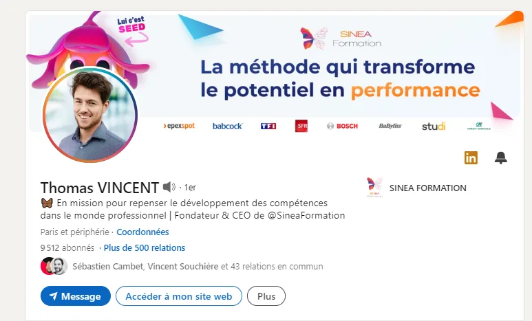 Profil Linkedin de Thomas de Sinea. avec mascotte par Ferr Studio
