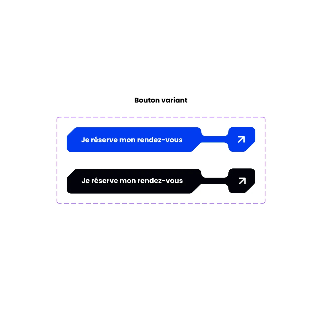 Bouton variant Hublead website ferr studio blue dark